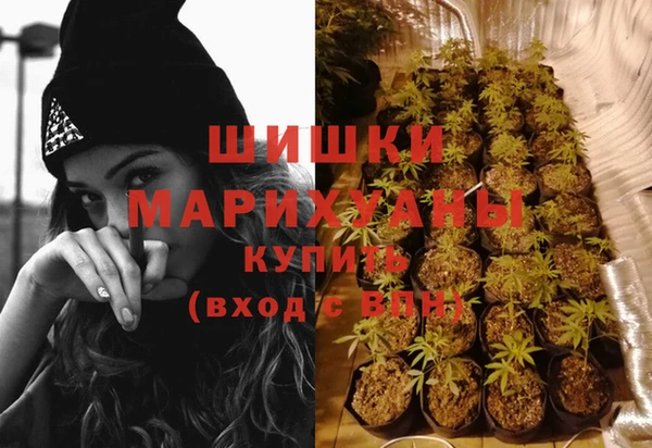 Альфа ПВП Гусь-Хрустальный