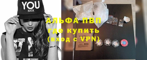сатива Гусев