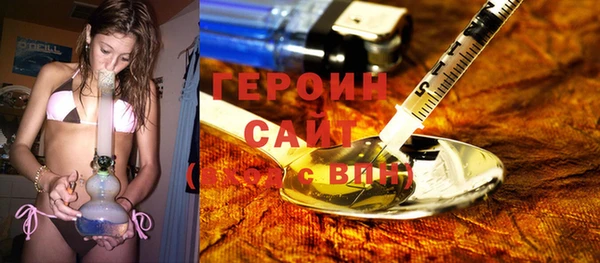 сатива Гусев
