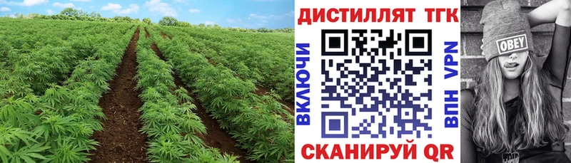 Купить  Полесск  ТГК гашишное масло 